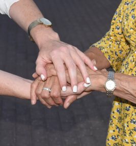 DSC_8268 (2)